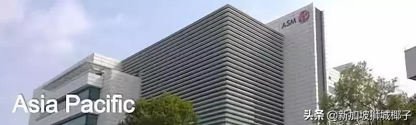 新加坡前十公司,新加坡十大公司排行榜