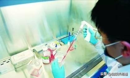 外购仔猪如何防病,养殖户自购疫苗注意事项