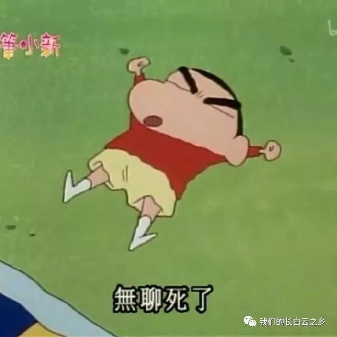 新西兰旅游打工签在哪个网站申请 (2022新西兰度假打工签证怎么抢)