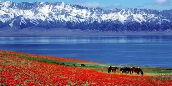 我变成了一颗石头作文三年级,三年级第5课的作文300字