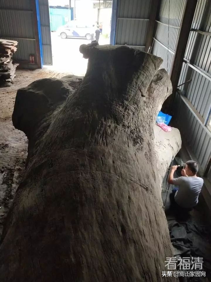 福清老板拥有的一根木头,能值600万?