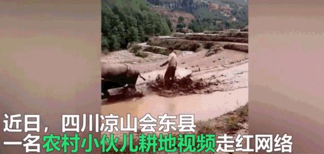 电视剧都拍不出来的效果,电视剧都拍不出来的剧情