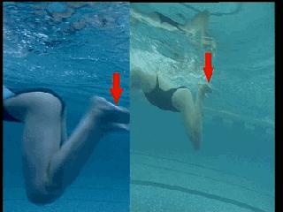 蛙泳的六大腿部错误纠正,儿童蛙泳腿部全套慢动作教学视频