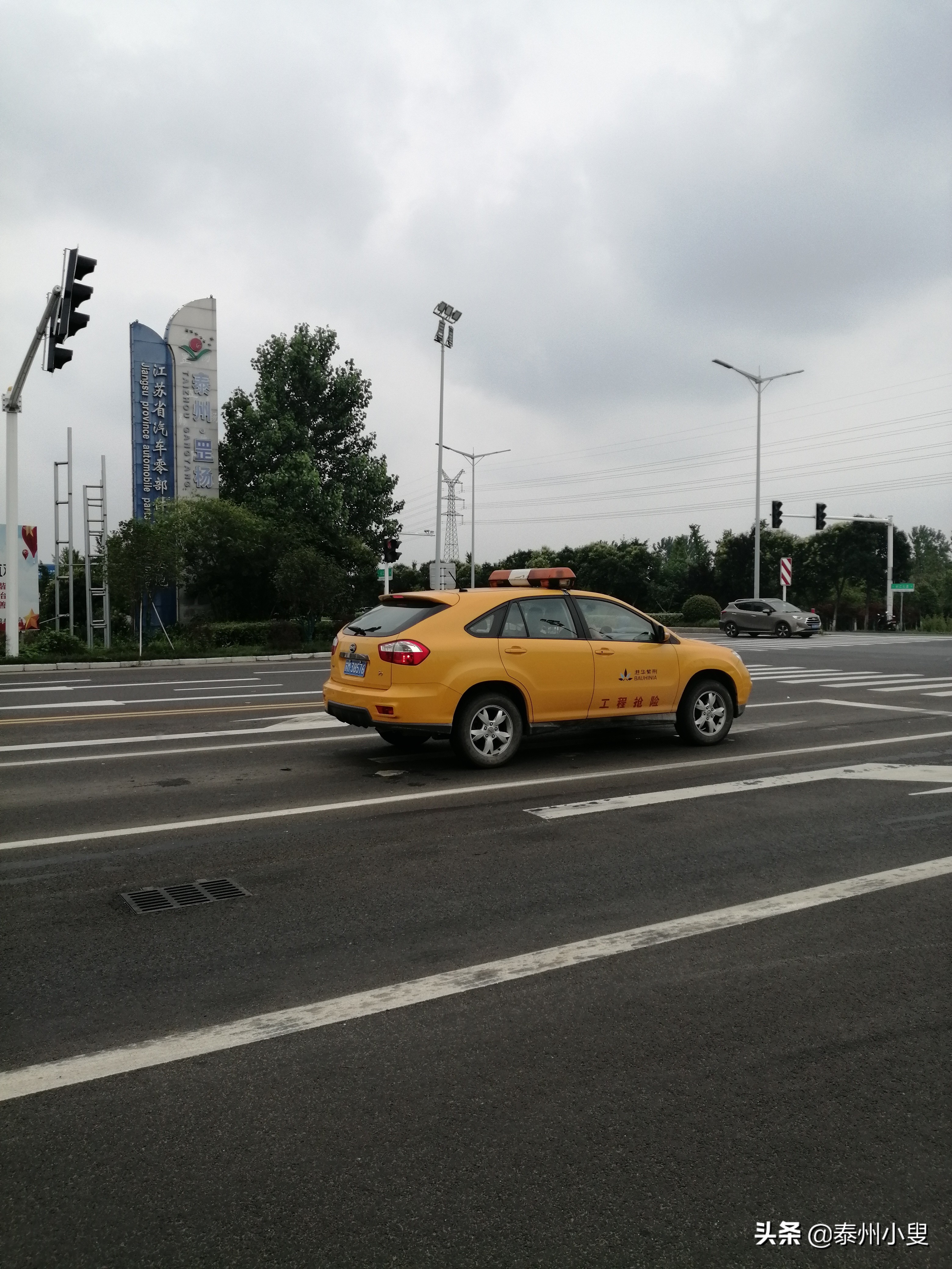 骑行槐林赏美景,骑行赏花视频