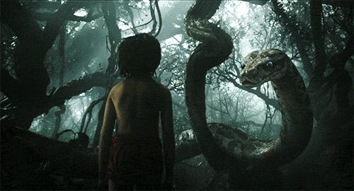 《狮子王》成年度面瘫巨制，但真有那么差吗？