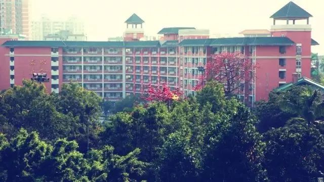 想当年，我在芳村区长大