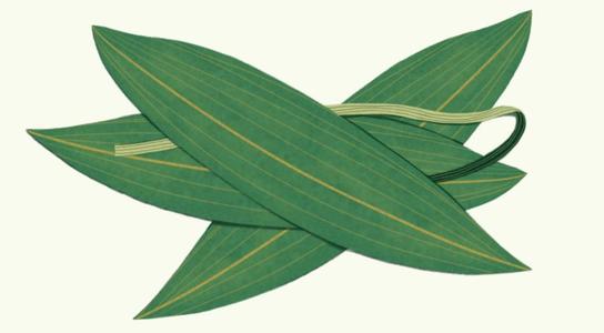 闲侃历史上的小事,闲侃专家讲解视频