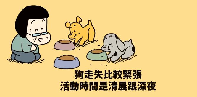 宠物狗走丢了一般怎么找回,在哪里寻找走丢的狗狗最有效