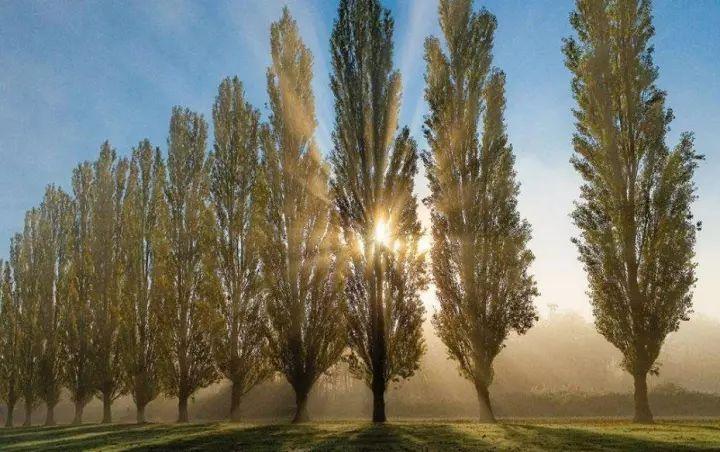 高考必背100个文化常识语文,2021必背高考文化常识