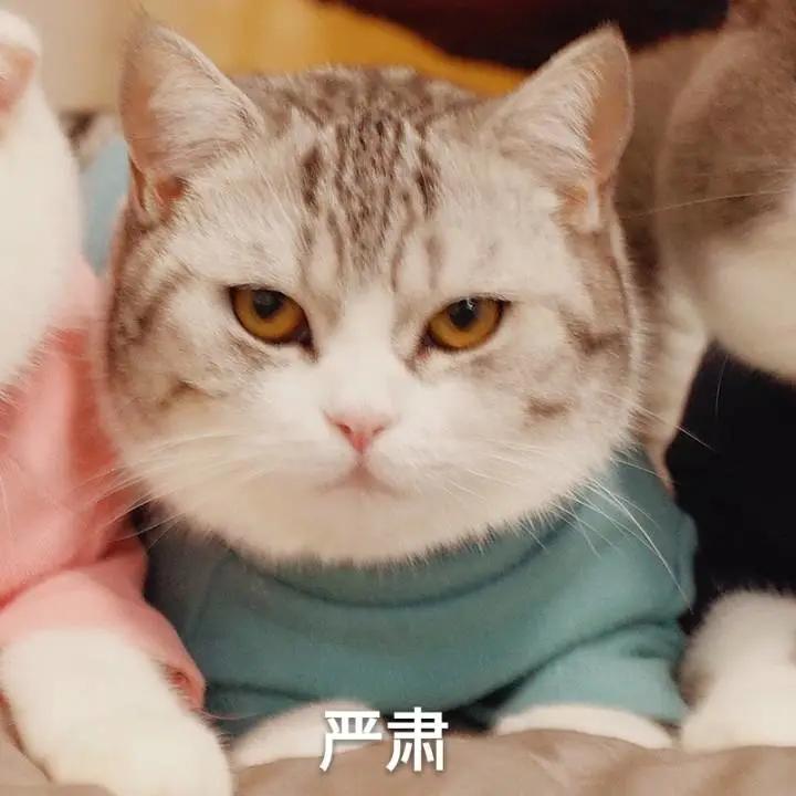 刷酸真的烂脸吗,刷酸烂脸后还继续刷吗