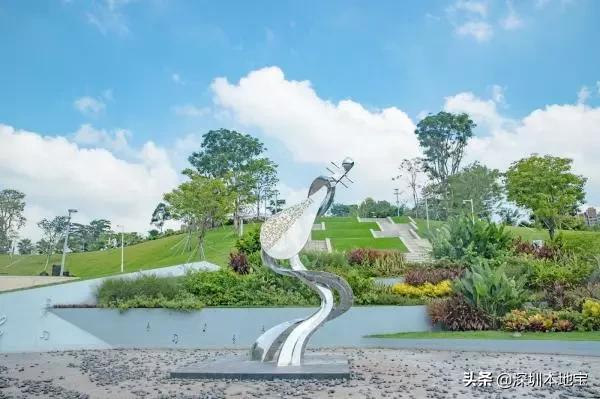 深圳完全免费的十大景点,深圳10大免费景点上集