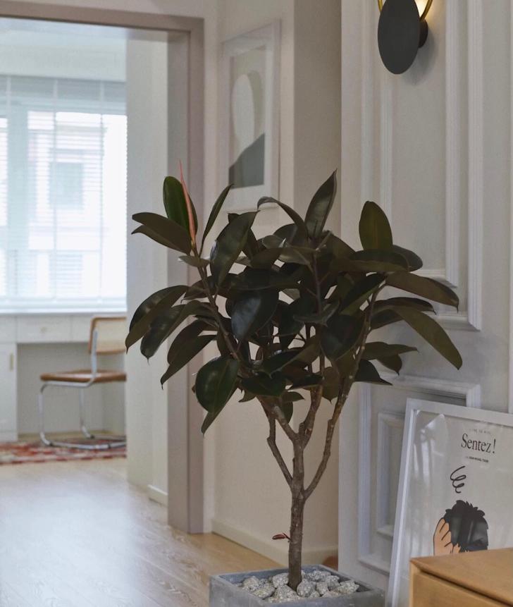 改善室内空气质量的最佳方法,室内空气太差劲怎么办