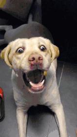 滴滴打车当年烧了多少钱,滴滴打车经历了哪些危机