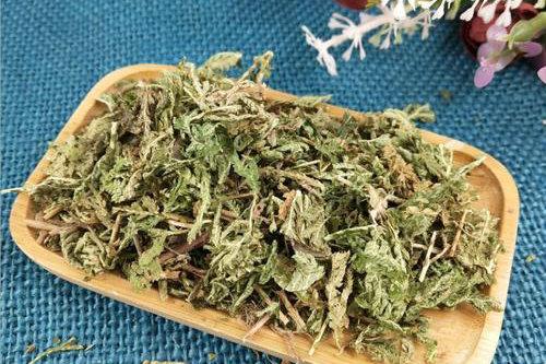 【食药科普大讲堂】不看不知道！岭南宝藏中药材图鉴（三）