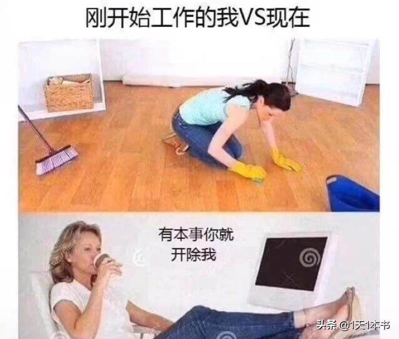 连傻子都会做的工作是什么工作,所有工作傻子都能做