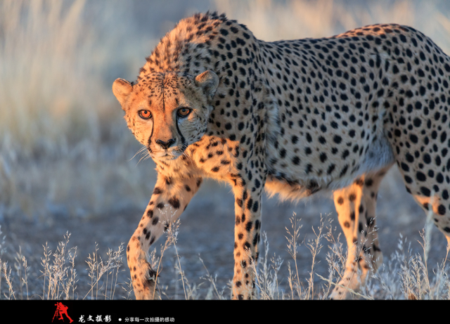 摄影史上的风光摄影师,从风光摄影到纪实摄影