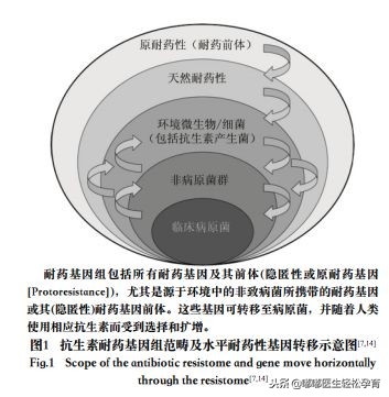 抗生素用一次就不用了,没有使用任何抗生素