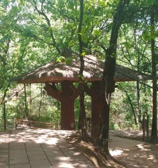 昆明必去的9个烧烤,昆明周边十个烧烤胜地