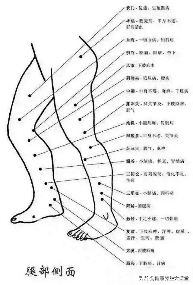 把穴位像药物一样分类后，运用竟如此简单