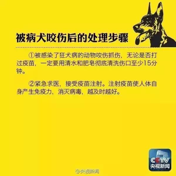 被狗舔东西得狂犬病的几率有多大,被狗舔后十天没死能判断狂犬病吗