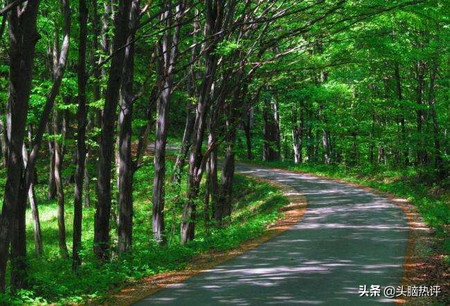 陷入心理困境如何自救,心理承受能力太差的人怎么劝导