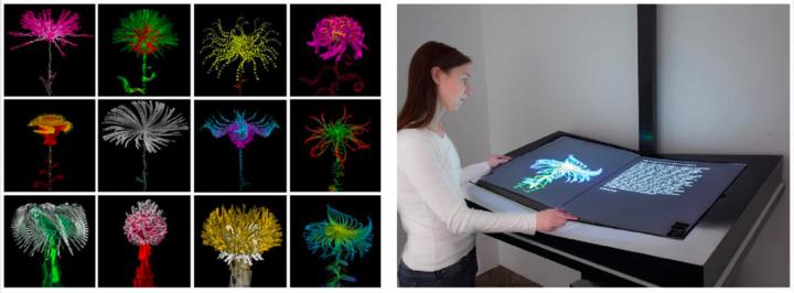 最大的艺术展,中国最大的数字艺术展览
