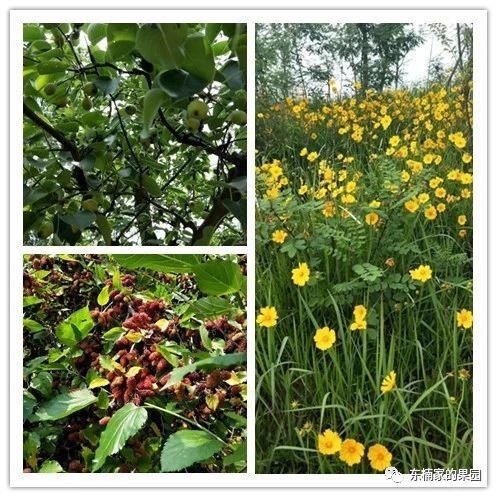 合肥休闲农庄排行榜前十名,合肥农庄转让或出租