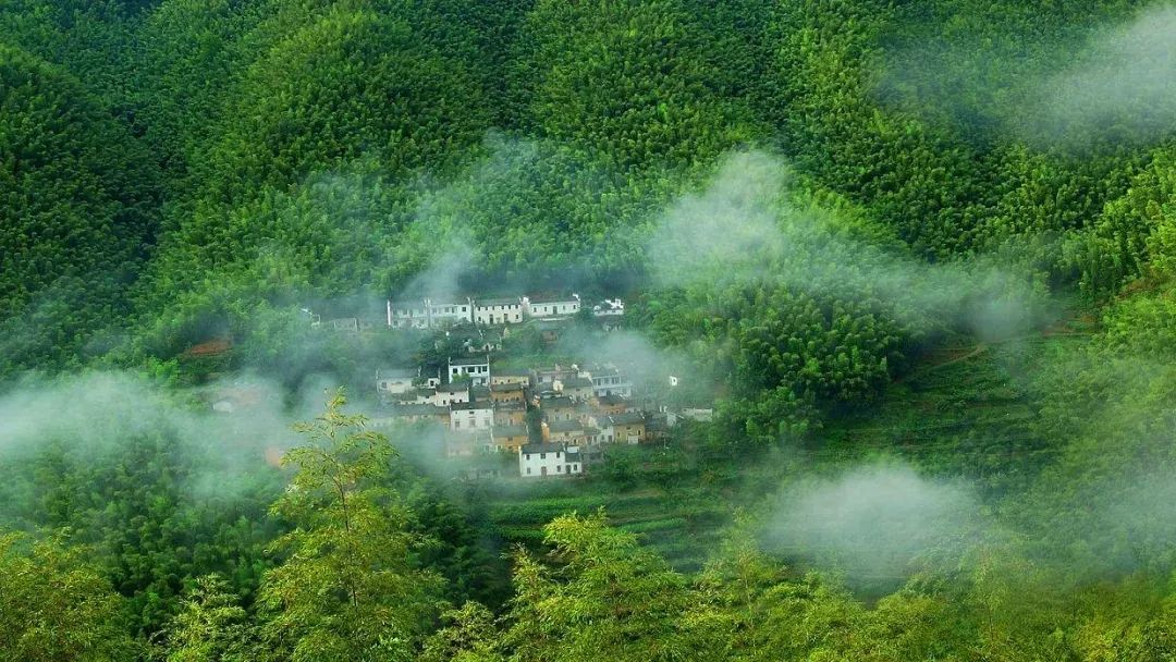 带着狗子旅行推荐,带着狗狗游新疆