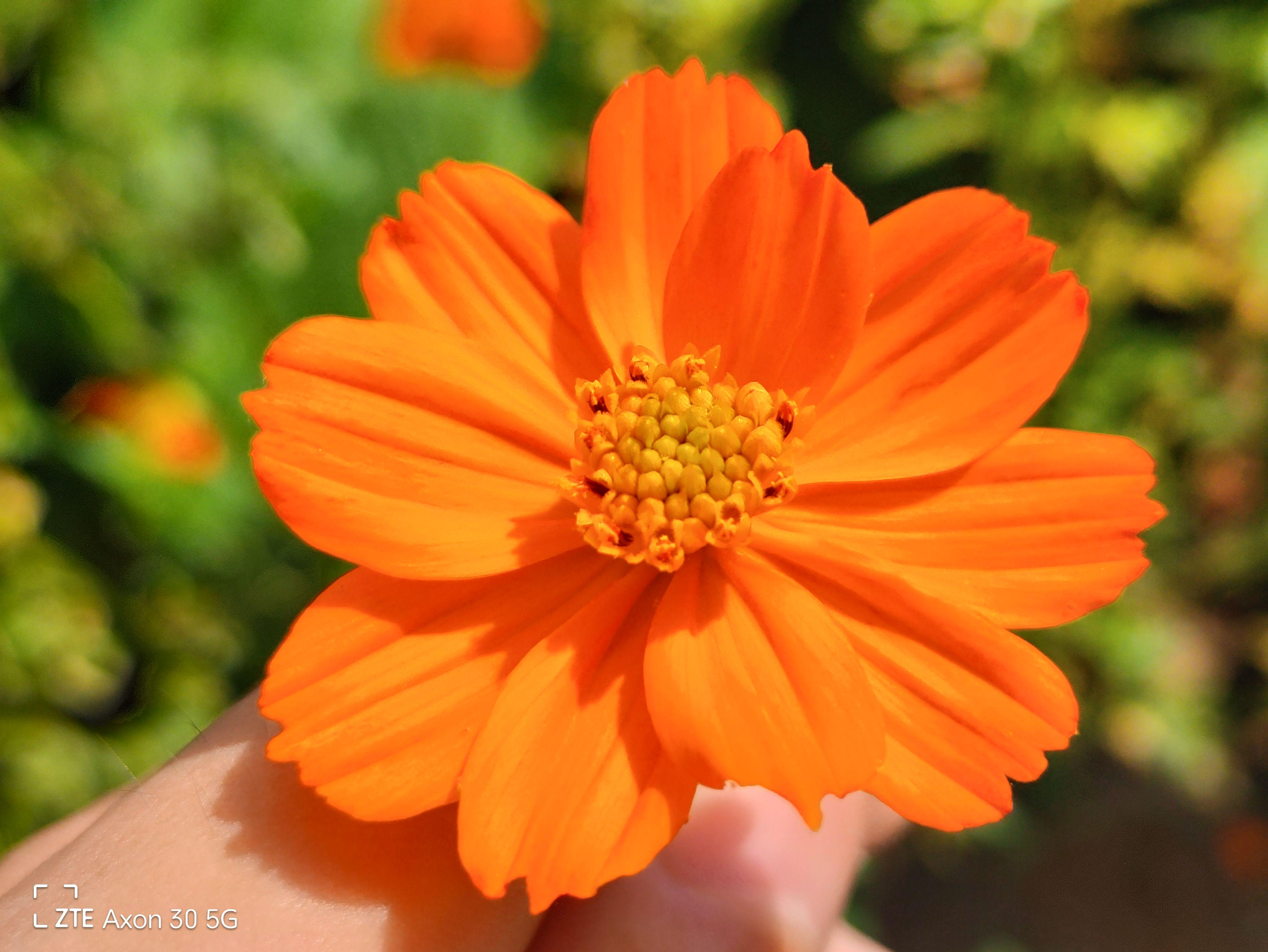 中兴axon305g屏下摄像手机,中兴axon30u和oppofindx3pro