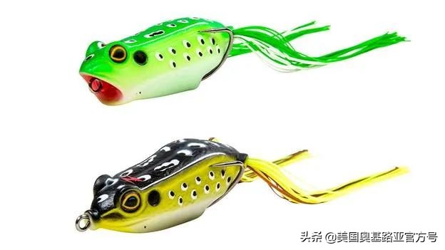 全国渔具展会2024时间表,全国渔具展2024