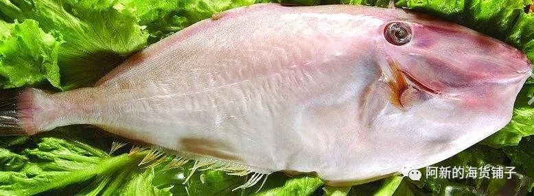 客官，您知道江湖中的剥皮鱼吗