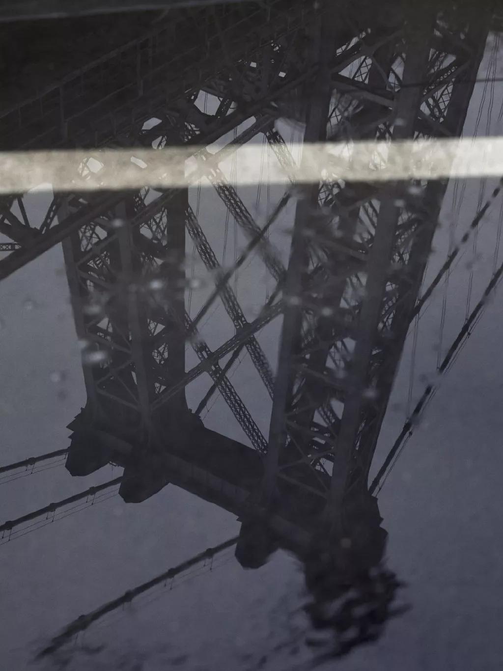 加拿大鹅既要风度又要温度,加拿大鹅冬天怎么保暖的