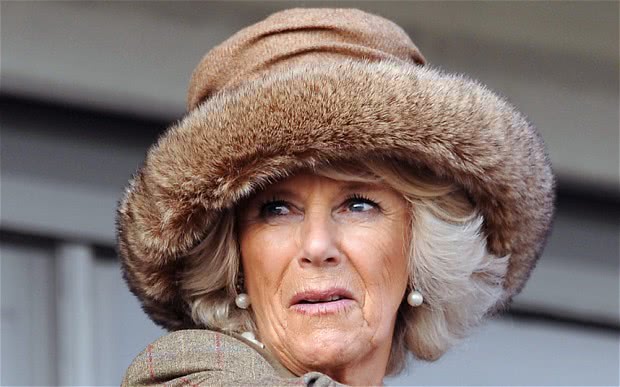 93岁英女王宣布拒绝天然皮草,卡米拉凯特都上过黑榜,梅根最纯净