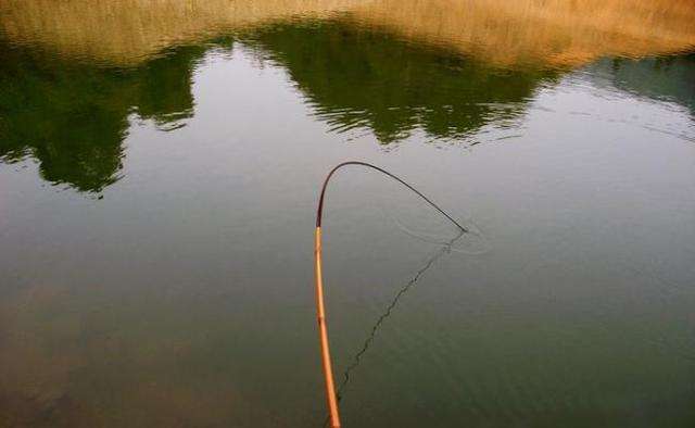 钓龄,3.6米鱼竿和4.5米的鱼竿比较长短