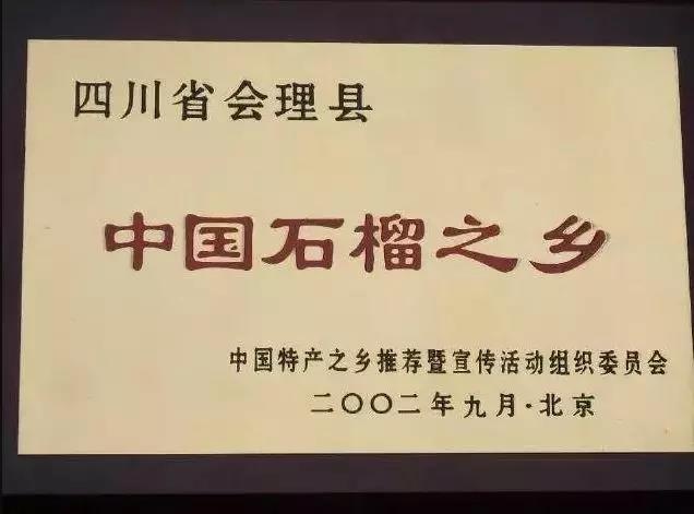 雅诗兰黛软籽石榴怎么样,雅诗兰黛突尼斯软籽石榴