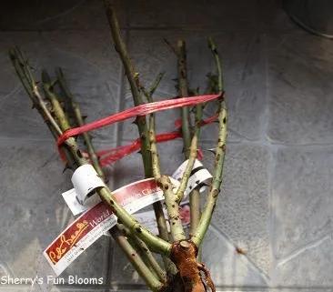 教你如何避开假货买到真品,一张图告诉你怎样分辨假货