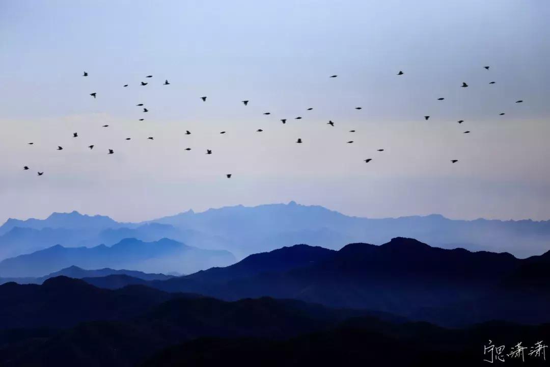 画面拍虚了怎么办,画面空洞怎么办