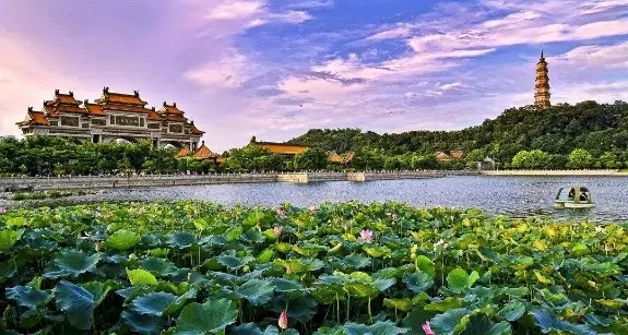 大良中惠璧珑湾怎么样,顺德中惠璧珑湾楼盘怎样