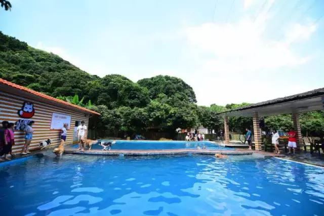 什么地方适合带猫狗玩耍,北京铲屎官可以带狗玩的地方