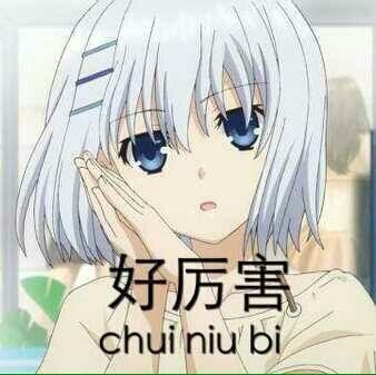 忍不住了！这部绝对就是十月新番中最尬最降智的作品吧？