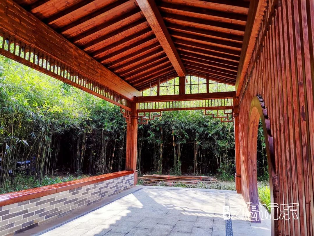 深圳最美簕杜鹃谷公园花海,宝安区花海赏花景点