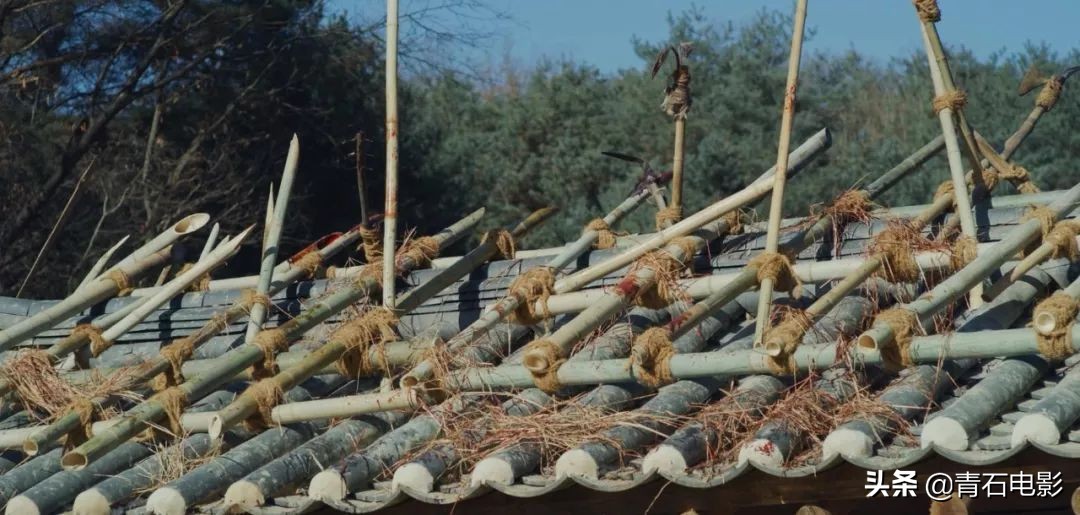 韩国丧尸片裴斗娜,评分高的韩剧丧尸片