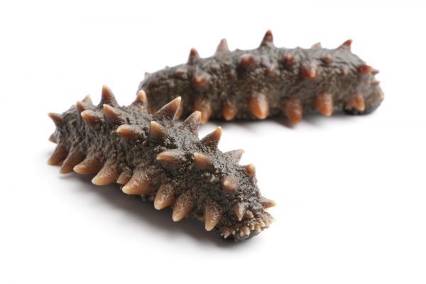 春节海参的简单最佳吃法,冬季吃海参听听专家怎么说