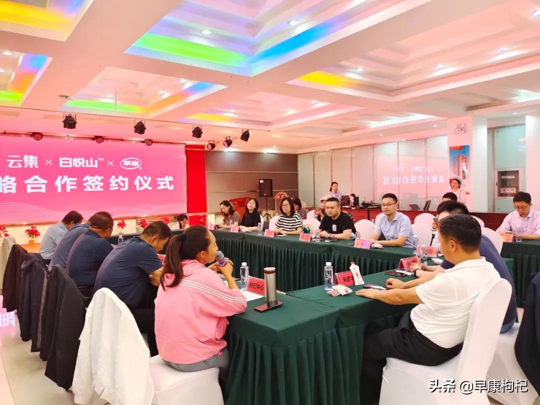 宁夏中宁县早康枸杞,早康枸杞宁夏中宁