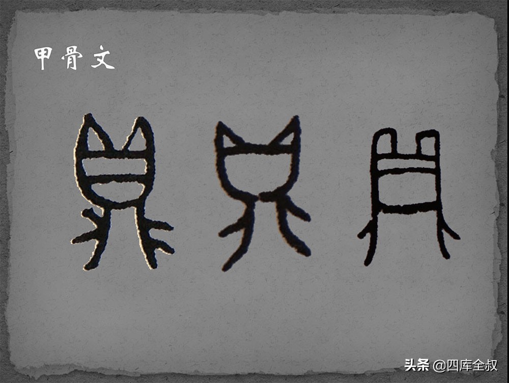 以物见物,以物识人意思