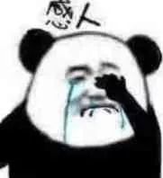 只要肯努力丑小鸭也能变成白天鹅,只要肯努力可以逆袭吗