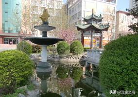 我和我的同桌,同桌的青春年华