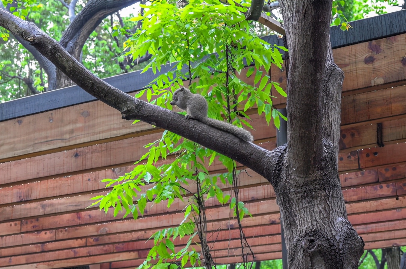 富春湖公园上海,青年湖公园上海