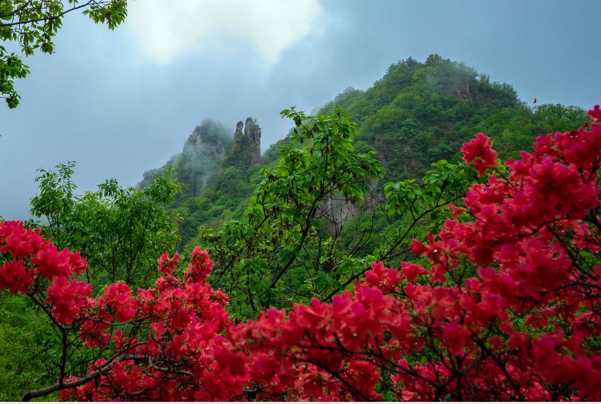 西泰山的特点是什么,西泰山为啥叫西泰山