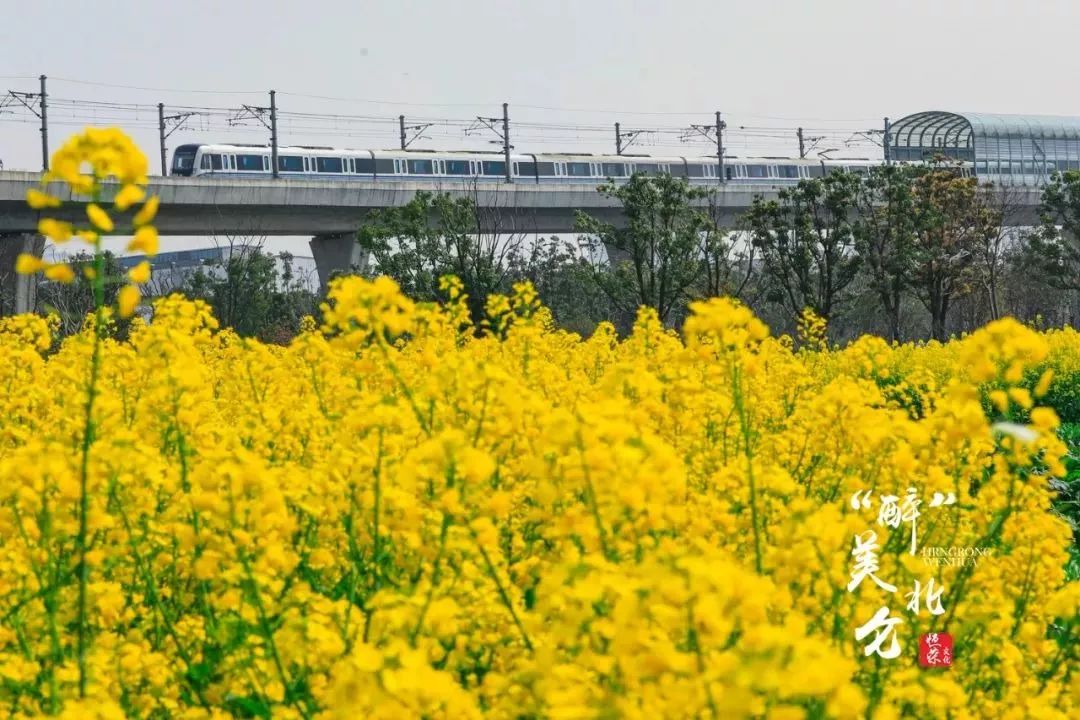 家在北仑,我有一个家北仑